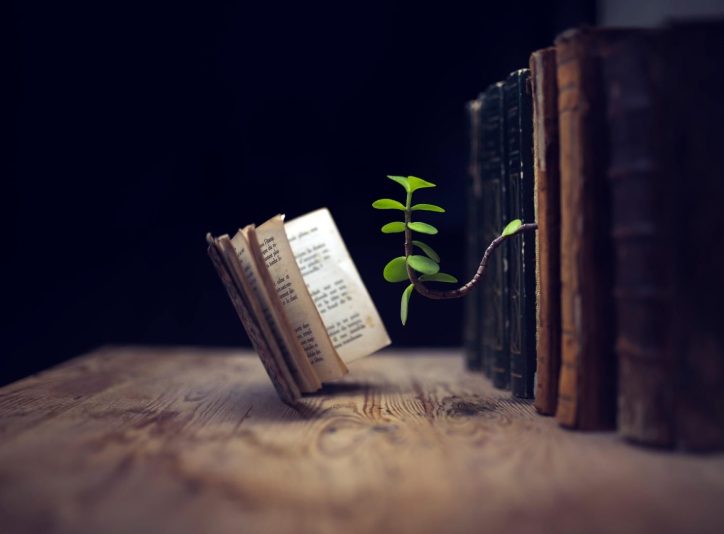 de84ced1-0ede-55cb-8dc3-0d2474c9211e